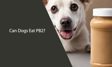 Can Dogs Eat PB2? A Comprehensive Guide