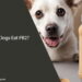 Can Dogs Eat PB2
