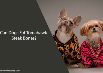 Can Dogs Eat Tomahawk Steak Bones