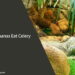Can Iguanas Eat Celery