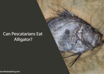 Can Pescatarians Eat Alligator