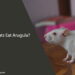 Can Rats Eat Arugula