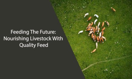 Feeding The Future: Nourishing Livestock With Quality Feed