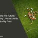Feeding The Future Nourishing Livestock With Quality Feed