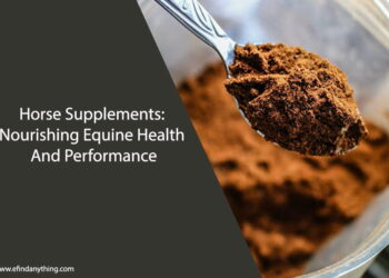 Horse Supplements