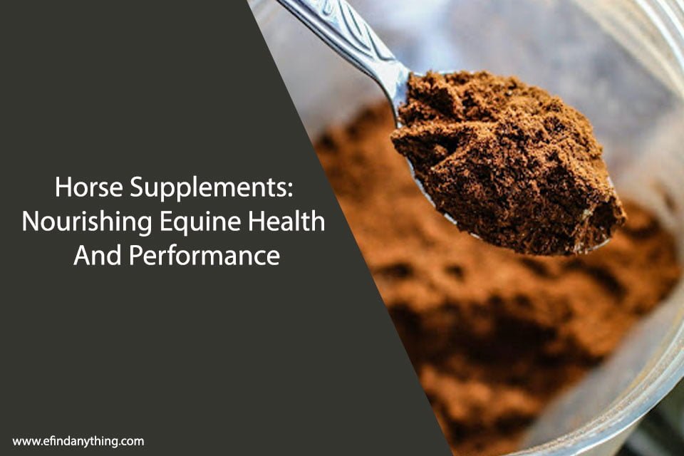 Horse Supplements: Nourishing Equine Health And Performance