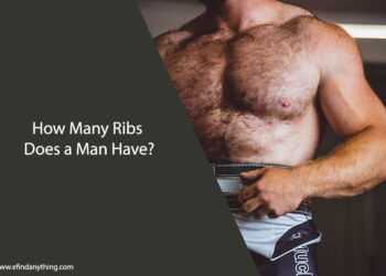 How Many Ribs Does a Man Have
