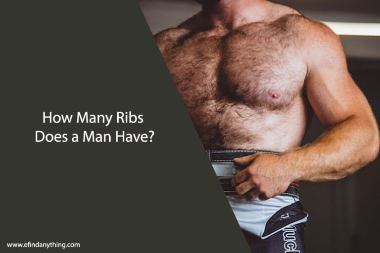 How Many Ribs Does a Man Have