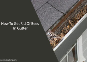 How To Get Rid Of Bees In Gutter