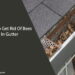 How To Get Rid Of Bees In Gutter