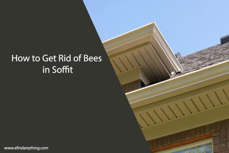 How to Get Rid of Bees in Soffit