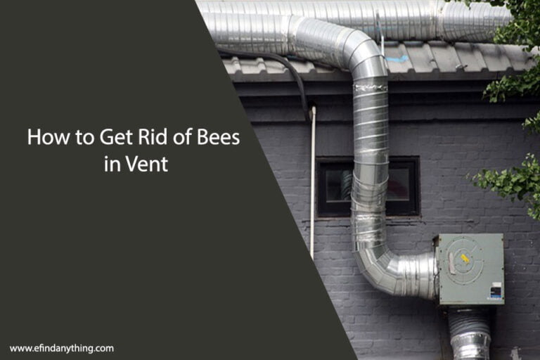 How to Get Rid of Bees in Vent