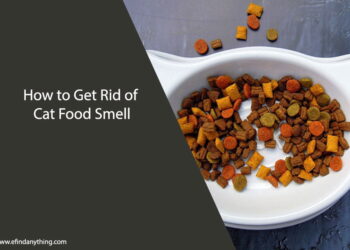 How to Get Rid of Cat Food Smell