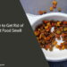How to Get Rid of Cat Food Smell