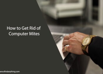 How to Get Rid of Computer Mites