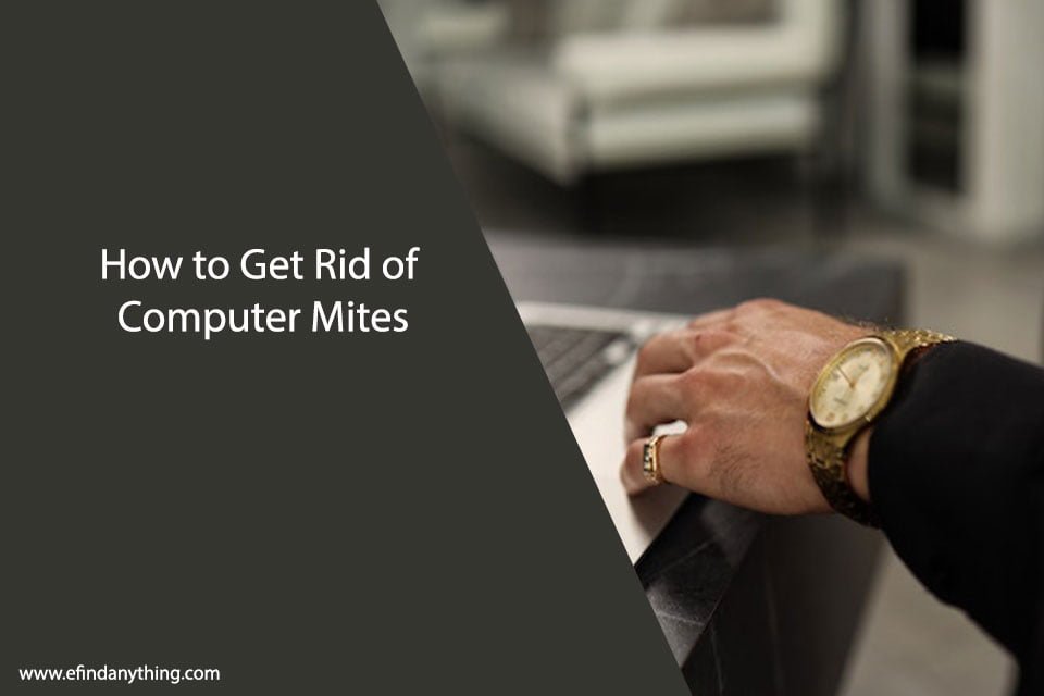 How to Get Rid of Computer Mites