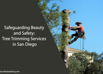Tree Trimming Services in San Diego