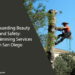 Tree Trimming Services in San Diego