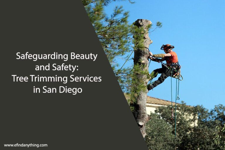 Tree Trimming Services in San Diego