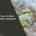 What Does Smelling Sulfur Mean Spiritually