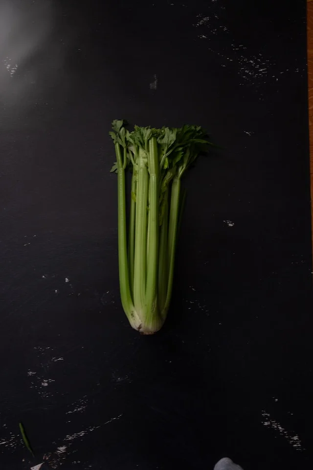 Can Box Turtles Eat Celery