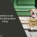 5 Questions to Ask Before You Bring Home a Dog
