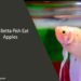 Can Betta Fish Eat Apples