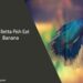 Can Betta Fish Eat Banana