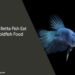 Can Betta Fish Eat Goldfish Food