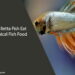 Can Betta Fish Eat Tropical Fish Food