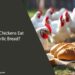 Can Chickens Eat Garlic Bread
