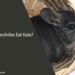 Can Chinchillas Eat Kale
