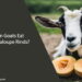 Can Goats Eat Cantaloupe Rinds