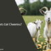 Can Goats Eat Cheerios