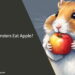 Can Hamsters Eat Apple