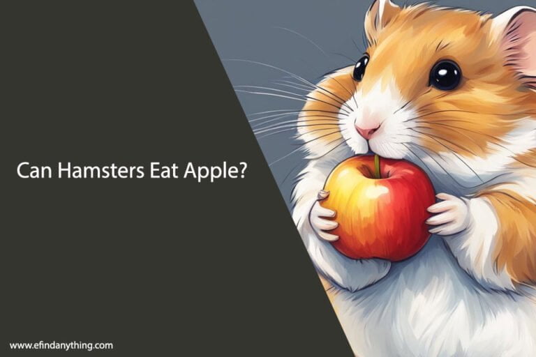 Can Hamsters Eat Apple