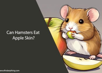 Can Hamsters Eat Apple Skin