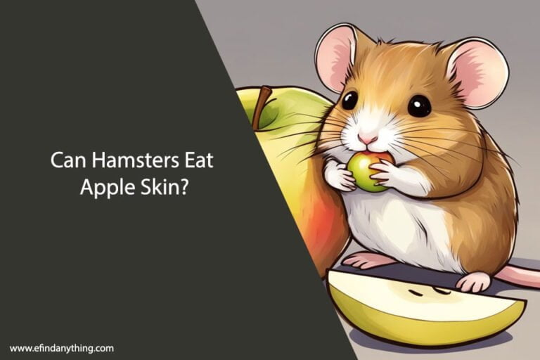 Can Hamsters Eat Apple Skin