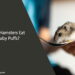 Can Hamsters Eat Baby Puffs