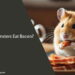 Can Hamsters Eat Bacon