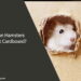 Can Hamsters Eat Cardboard