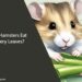 Can Hamsters Eat Celery Leaves