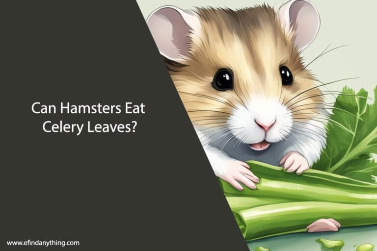 Can Hamsters Eat Celery Leaves