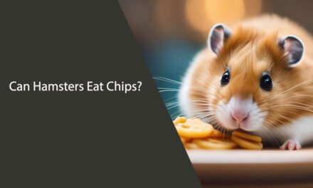 Can Hamsters Eat Chips? A Comprehensive Guide