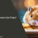 Can Hamsters Eat Chips