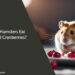 Can Hamsters Eat Dried Cranberries