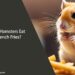 Can Hamsters Eat French Fries