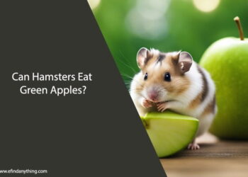 Can Hamsters Eat Green Apples