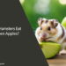 Can Hamsters Eat Green Apples