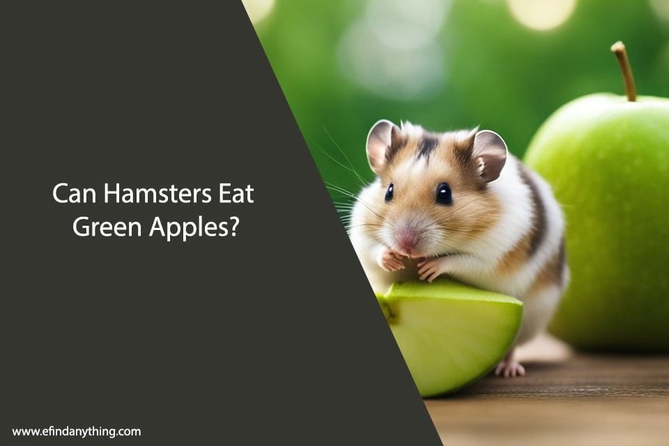 Can Hamsters Eat Green Apples? A Comprehensive Guide